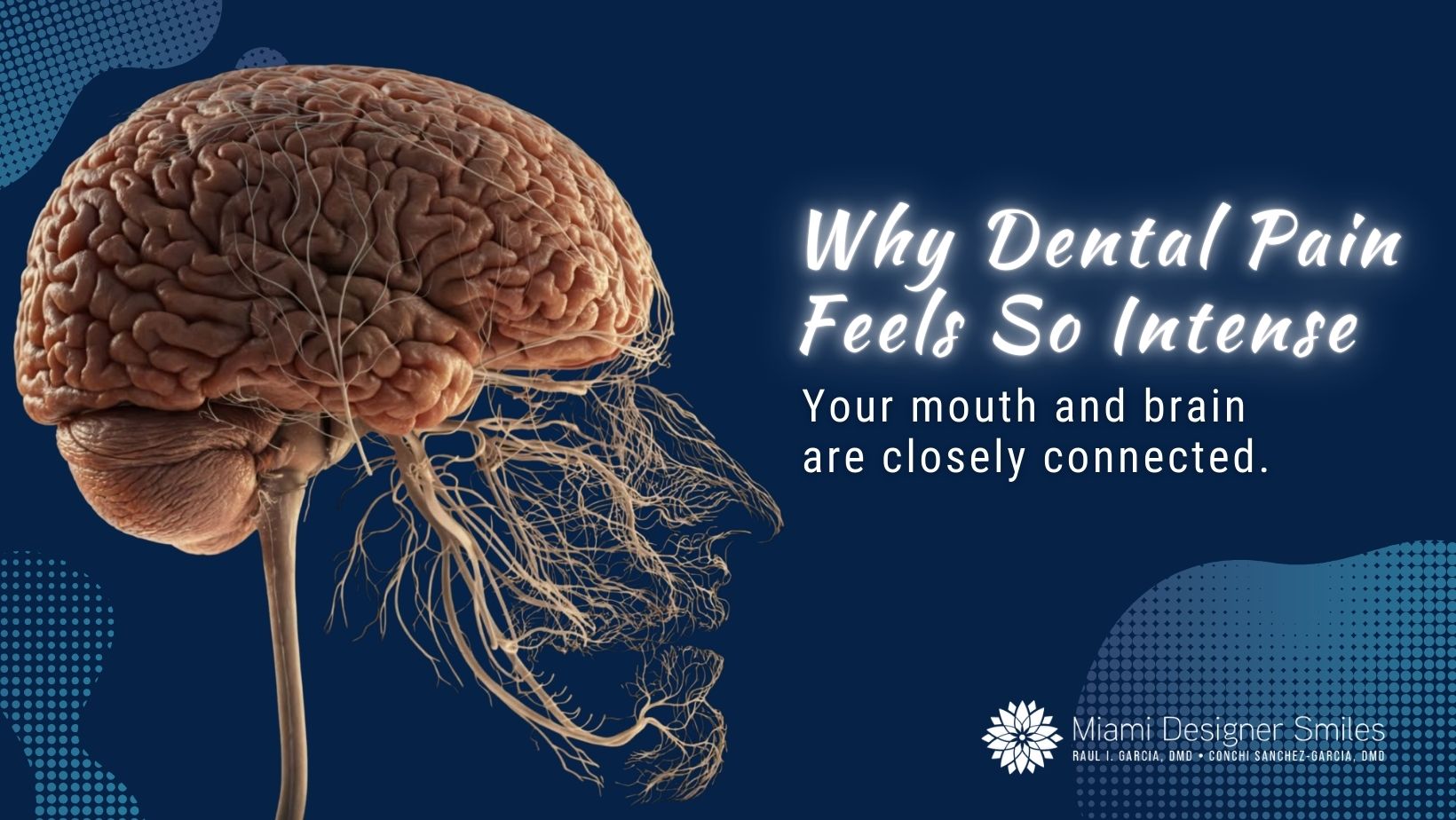 Illustration of a human brain with facial nerves, including the trigeminal nerve, highlighted—next to text by Miami Designer Smiles explaining the close link between dental pain and how the brain processes it.